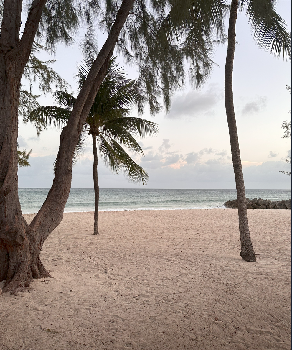 Divi Southwinds