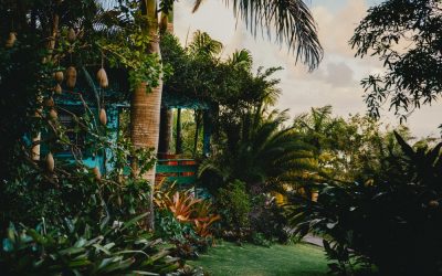 Escape the ordinary:  Try a Twin Centre island hopping holiday to Nevis, Jamaica and Turks and Caicos